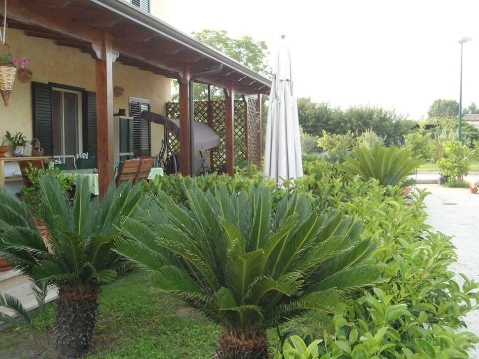 Nenna Country Bed & Breakfast Capua Exterior photo