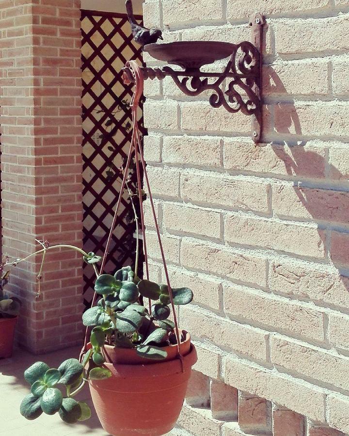 Nenna Country Bed & Breakfast Capua Exterior photo