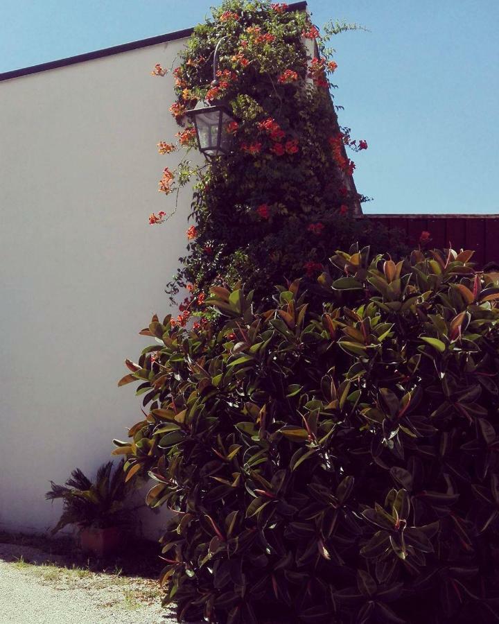 Nenna Country Bed & Breakfast Capua Exterior photo